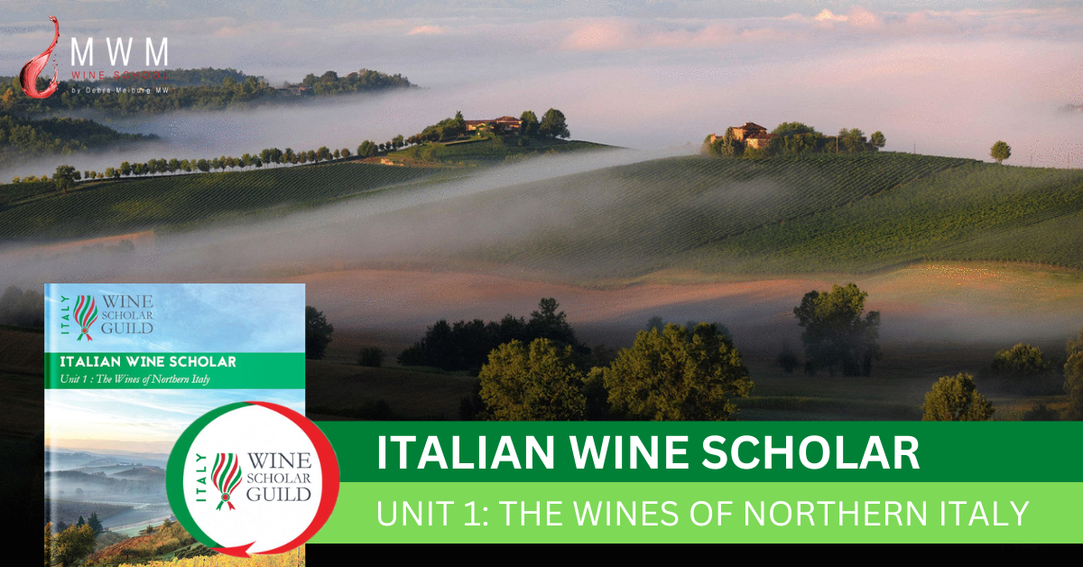 Italian Wine Scholar IWS Unit 1 Weekend Meiburg Wine Media